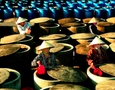 Điện lạnh, Máy, Gia dụng