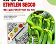 Cơ hội giao thương
