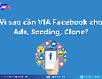 Cơ hội giao thương
