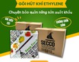 Cơ hội giao thương