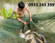 Cơ hội giao thương