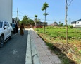 Mua Bán nhà đất