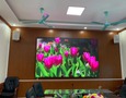 Điện tử, Kỹ thuật số