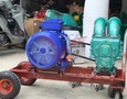 Vườn, Ngoại thất