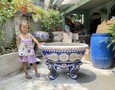 Vườn, Ngoại thất
