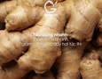 Mua sắm, Tổng Hợp