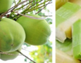 Mua sắm, Tổng Hợp