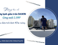 Điện lạnh, Máy, Gia dụng