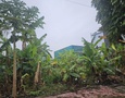 Mua Bán nhà đất