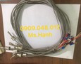 Điện lạnh, Máy, Gia dụng