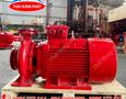 Điện lạnh, Máy, Gia dụng
