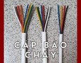 Cơ hội giao thương