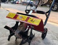 Vườn, Ngoại thất