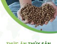 Vườn, Ngoại thất