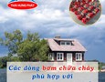 Điện lạnh, Máy, Gia dụng