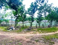 Mua Bán nhà đất