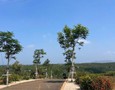 Mua Bán nhà đất