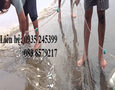 Cơ hội giao thương