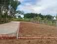 Mua Bán nhà đất