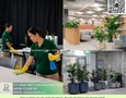 Vườn, Ngoại thất