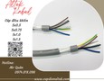 Điện lạnh, Máy, Gia dụng