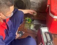 Cơ hội giao thương