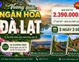 Du lịch