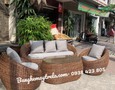 Vườn, Ngoại thất