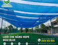 Mua sắm, Tổng Hợp