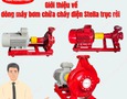 Điện lạnh, Máy, Gia dụng