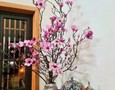 Đồ nội thất