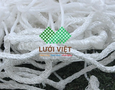 Cơ hội giao thương