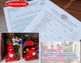 Điện lạnh, Máy, Gia dụng