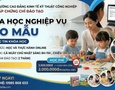 Mua sắm, Tổng Hợp
