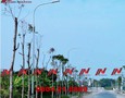 Vườn, Ngoại thất