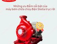 Điện lạnh, Máy, Gia dụng