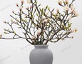 Mua sắm, Tổng Hợp