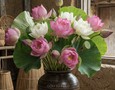 Mua sắm, Tổng Hợp