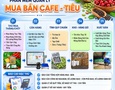 Máy tính và Laptop