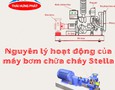 Điện lạnh, Máy, Gia dụng