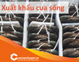 Cơ hội giao thương