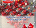 Điện lạnh, Máy, Gia dụng