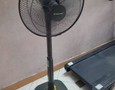 Điện lạnh, Máy, Gia dụng