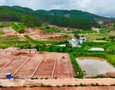 Mua Bán nhà đất
