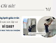 Điện lạnh, Máy, Gia dụng