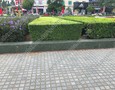 Vườn, Ngoại thất