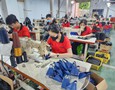 Mua sắm, Tổng Hợp
