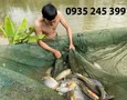 Cơ hội giao thương
