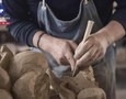 Mua sắm, Tổng Hợp