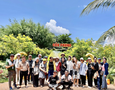 Mua sắm, Tổng Hợp